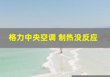 格力中央空调 制热没反应